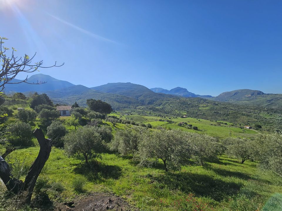 Landejendom i Collesano, Palermo - foto 5